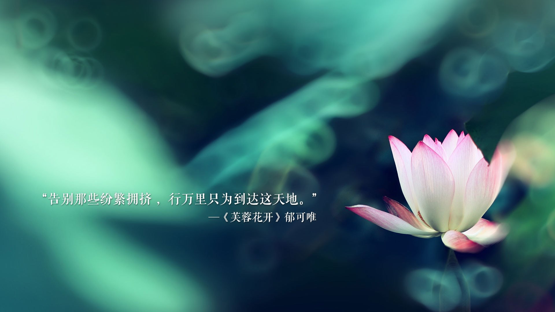 开云入口-小镇传统扒竖赛，文化与力量的精彩对决
