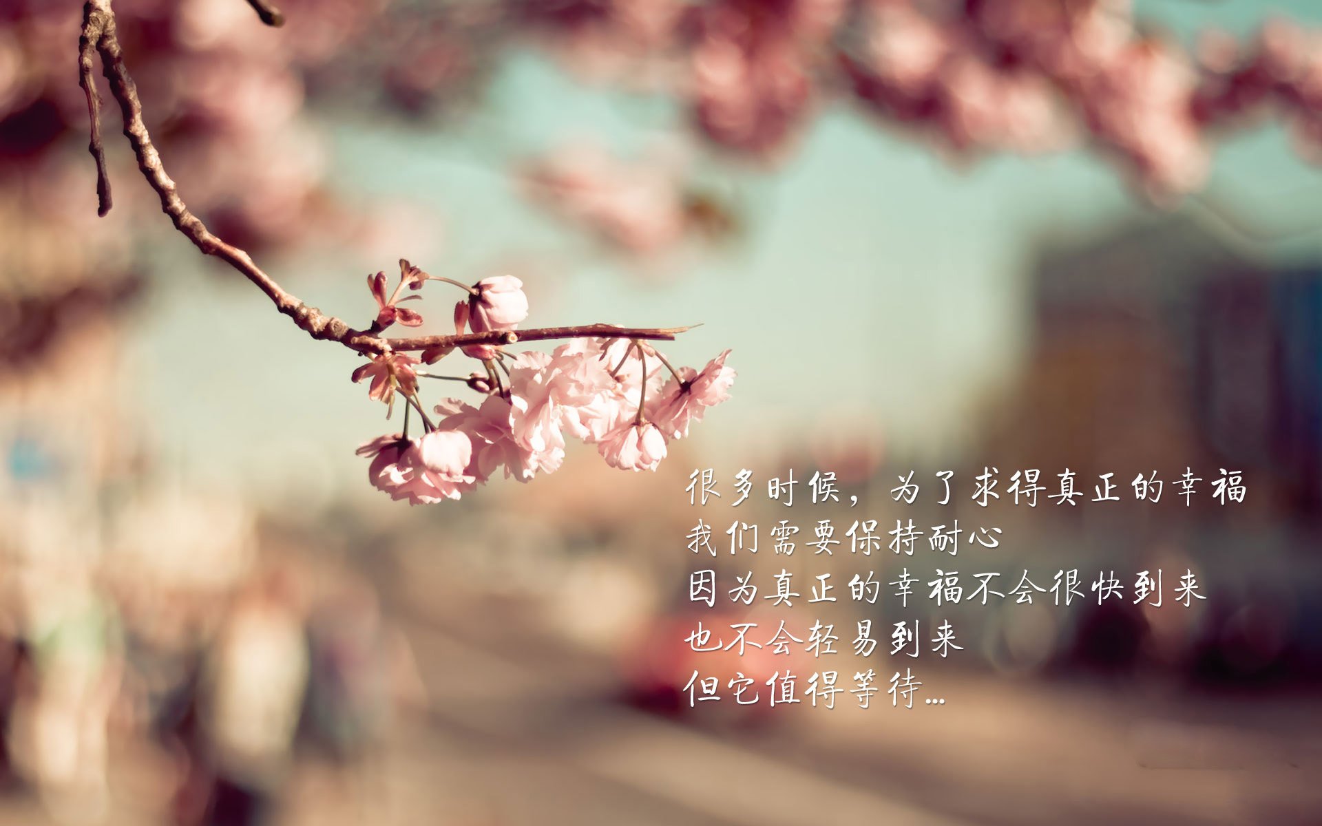 kaiyun体育app-非洲篮球各国联赛竞争日益激烈，非洲篮球联赛百度百科