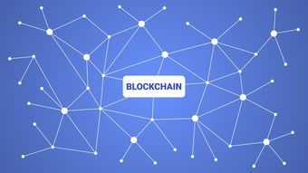 开云首页登录-英超青训引入虚拟现实技术强化战术理解和实战演练，英超本土青训规则