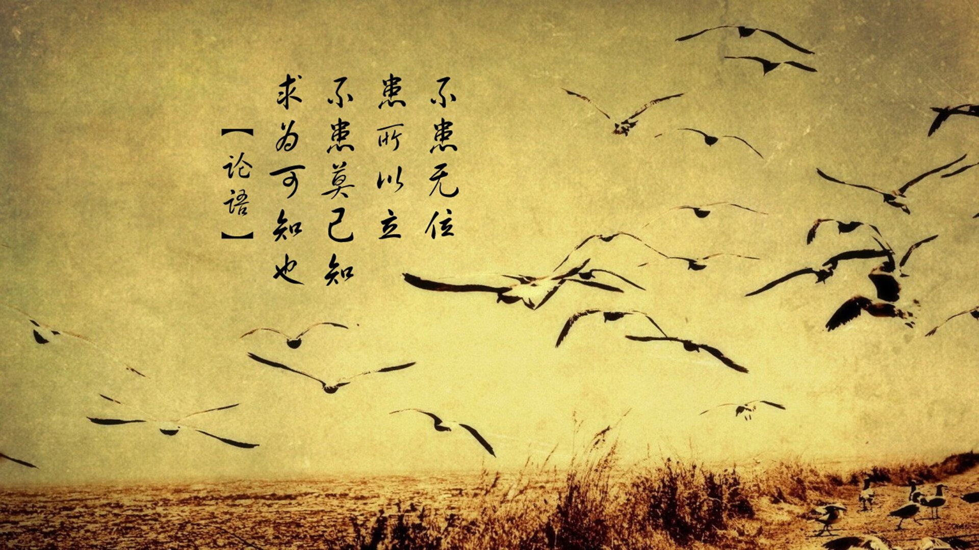 开云首页登录-新加坡队在国际乒联混合团体世界杯的技术突破与战术调整，新加坡乒乓球公开赛