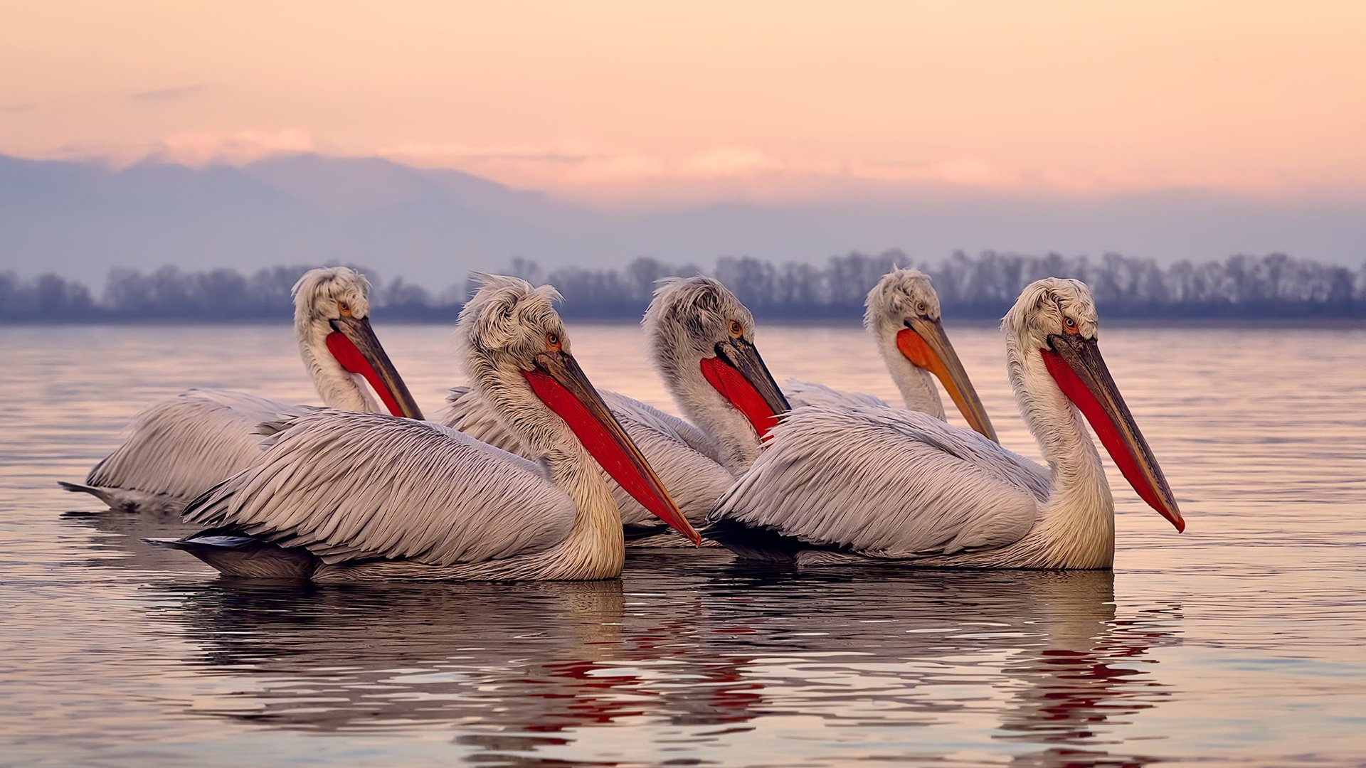 哈登突破上篮快船晋级季后赛，哈登赛季会加入快船吗