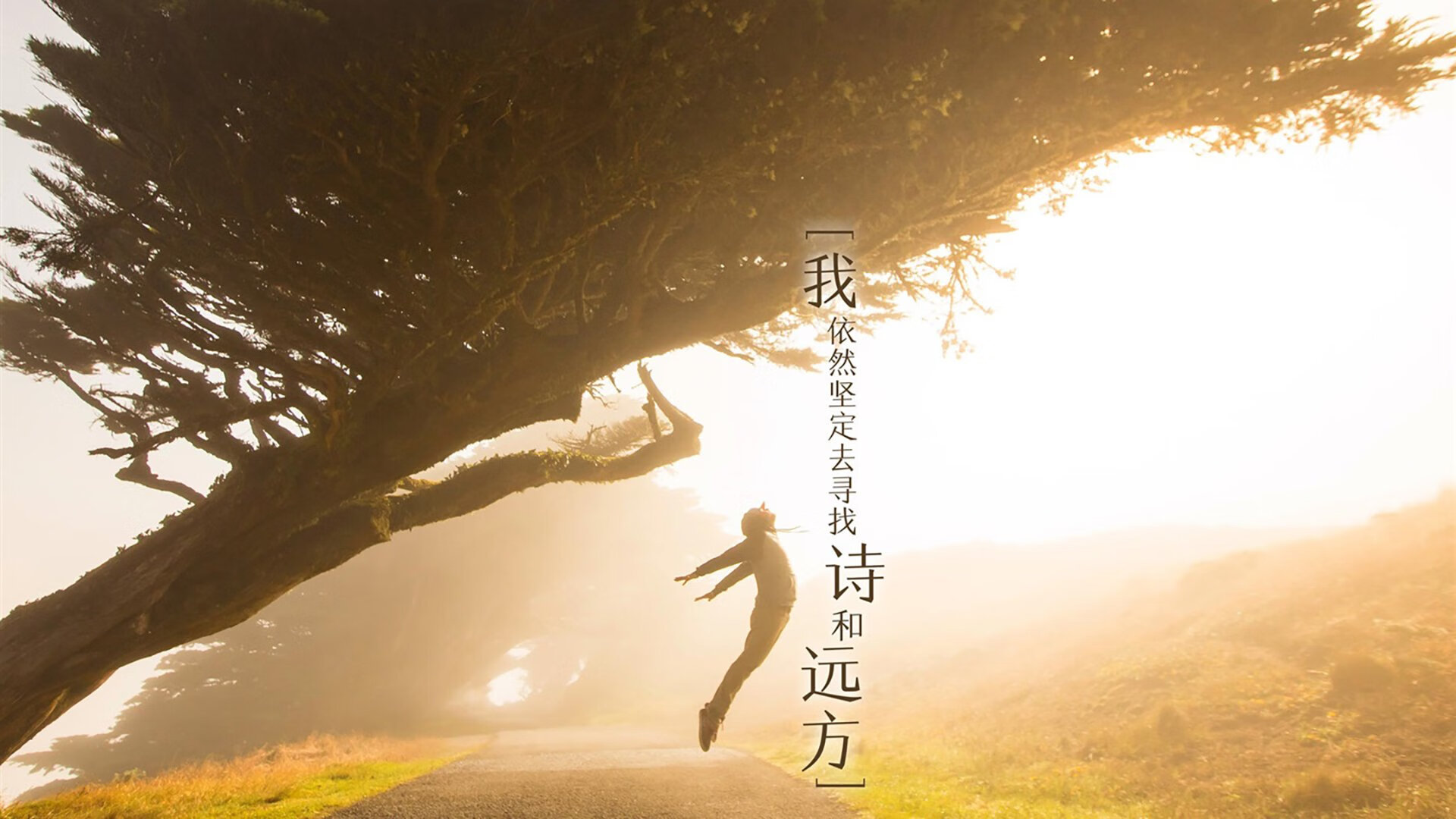 帕特森的球场指挥力和技术发挥，让袋鼠队在关键比赛中脱颖而出